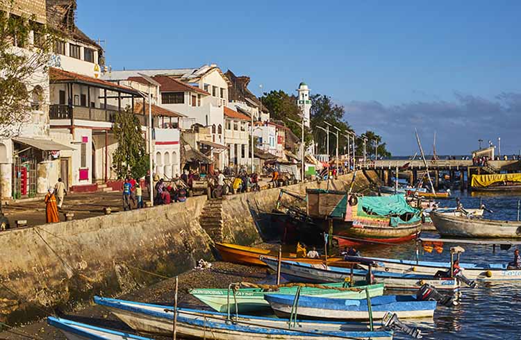 Lamu waterfront with dhows and Swahili houses
